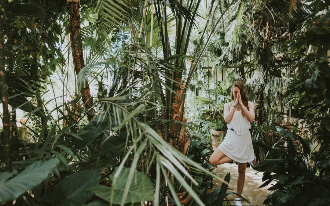 ↟ Hot | Tropical | Vinyasa – йога в ботаническа градина